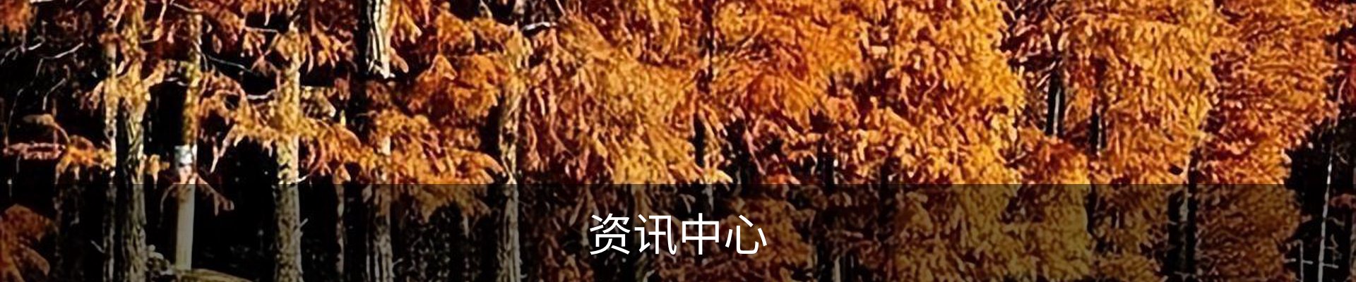 资讯中心